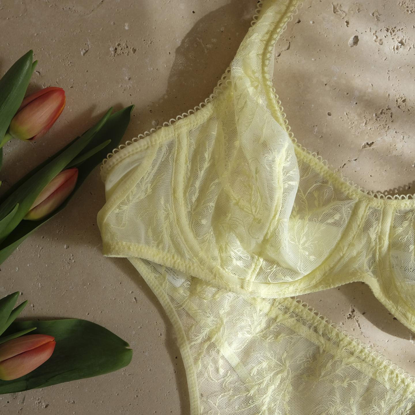 brafinette11 brafinette11