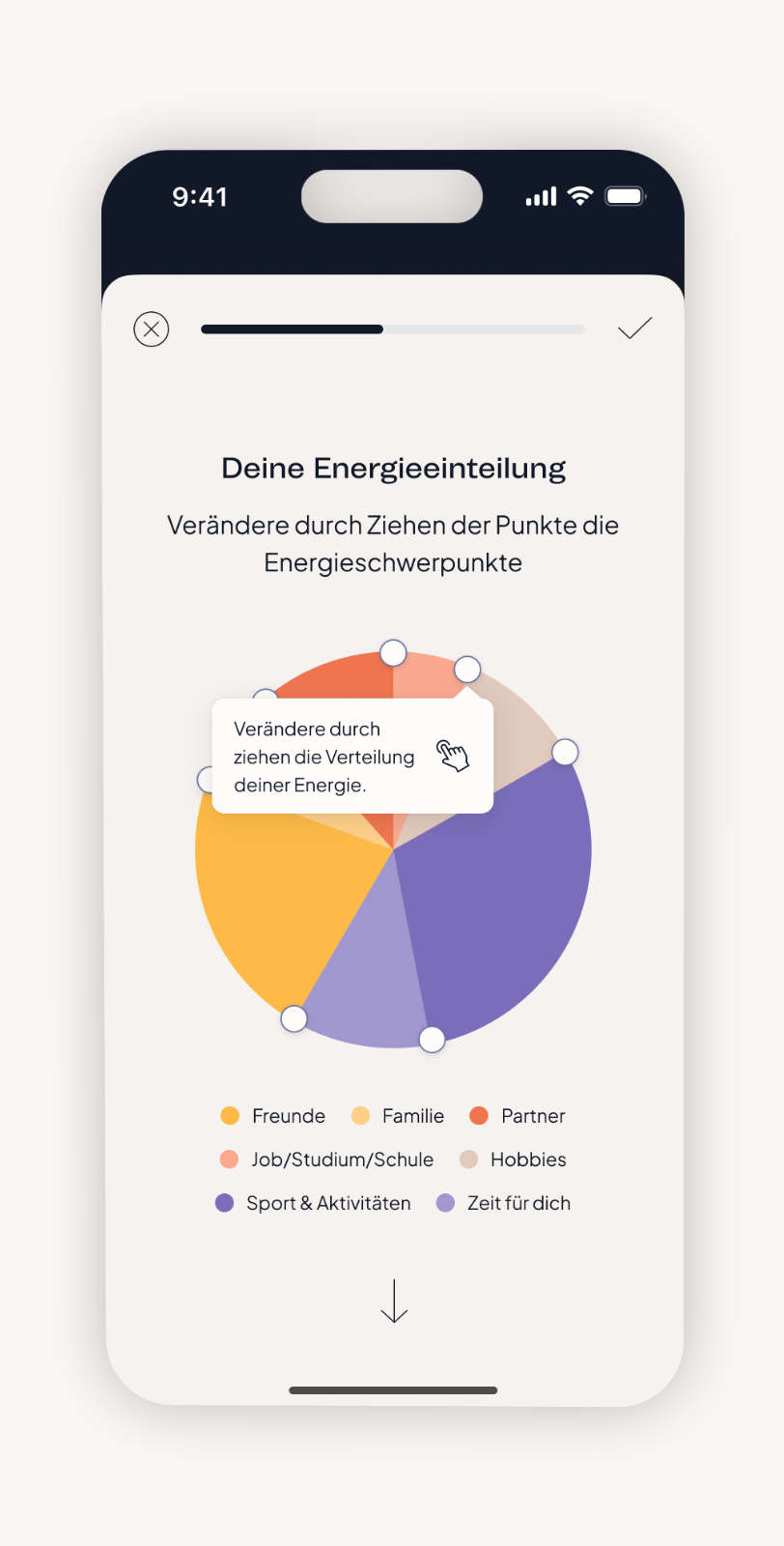 Interactive pie chart to define energy distribution of daily life